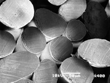 electron_microscope_10.jpg