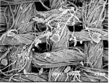 electron_microscope_2.jpg