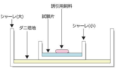 mite_control.1.jpg