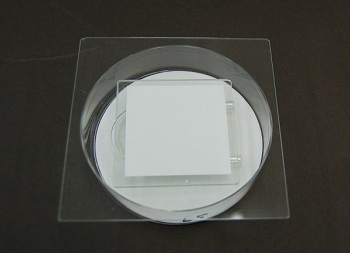 photocatalyst_antibact.1.jpg