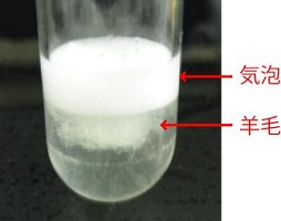 fibre_identification.5.jpg